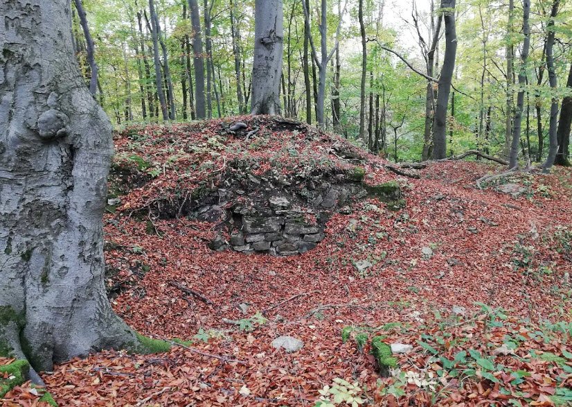 Burgruine Dreienburg, Friedewald, Hesse, Germany, Germany